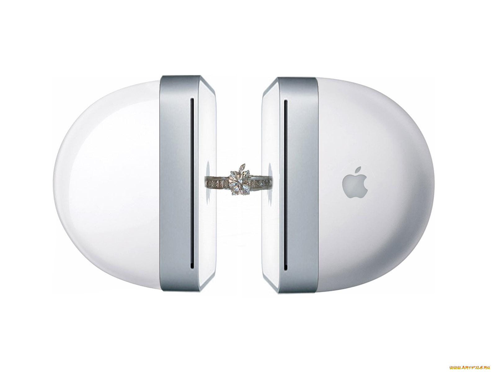 , apple